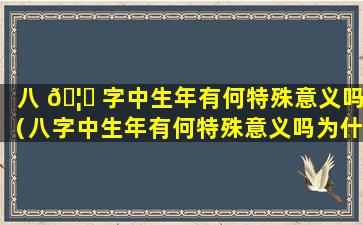 八 🦉 字中生年有何特殊意义吗（八字中生年有何特殊意义吗为什么）